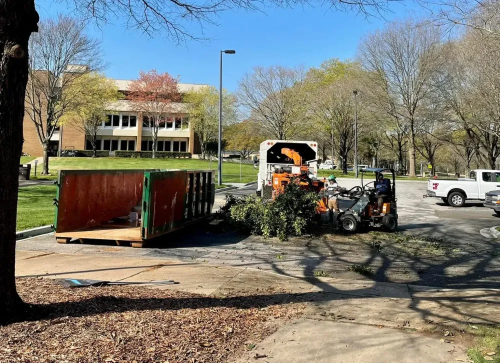commercial tree services for orlando properties