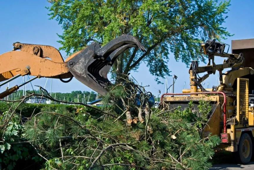 debris removal services
