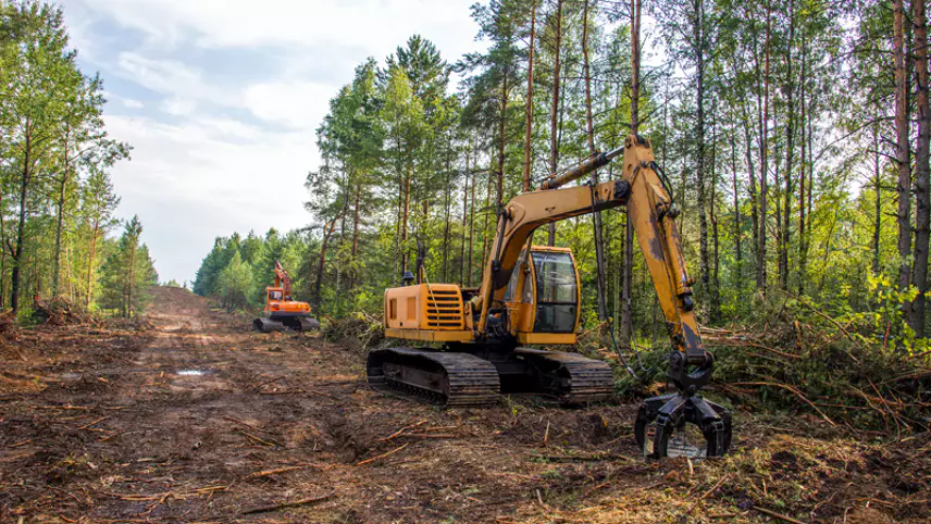 land clearing services orlando