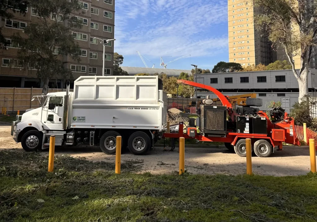 professional commercial tree services in orlando (1)