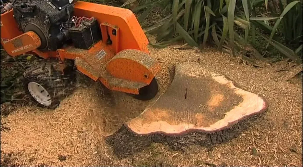 stump grinder company in orlando