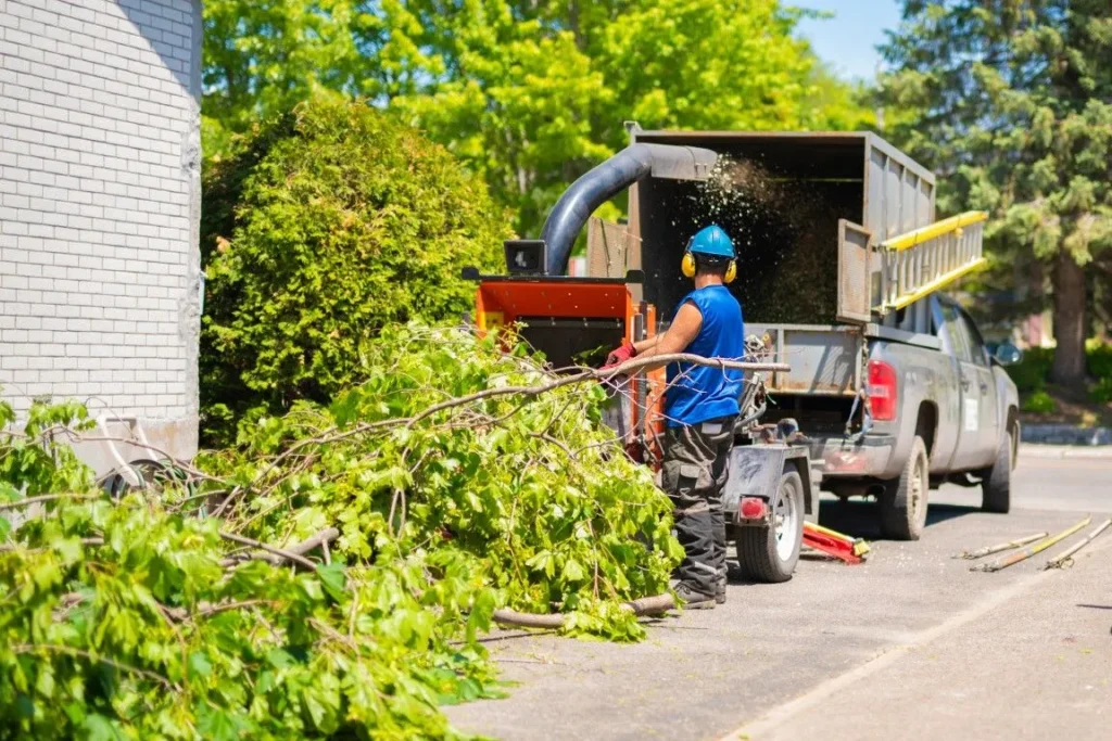 tree waste removal company orlando