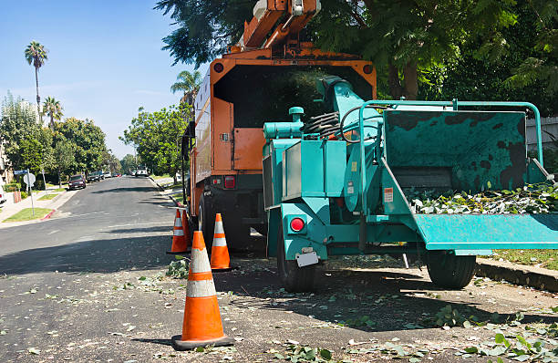 istockphoto 157075622 612x612