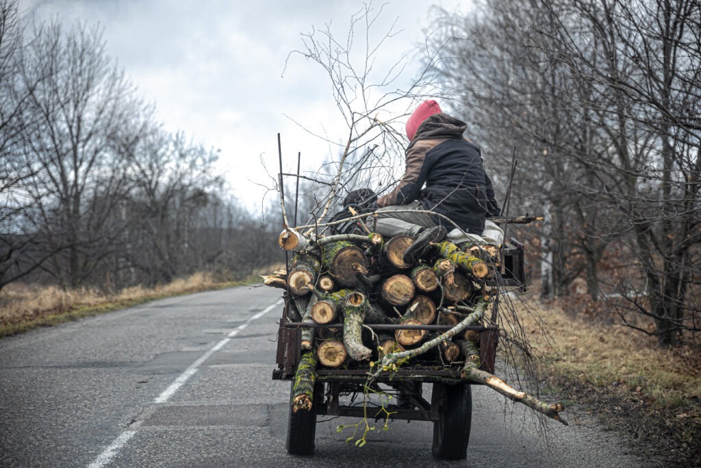 cart with tree logs, rural landscape, back view.