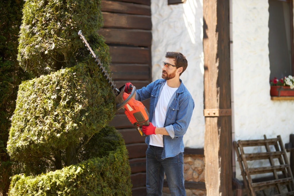 concentrated male gardener trimming, shaping spiral from thuja hedge in park.