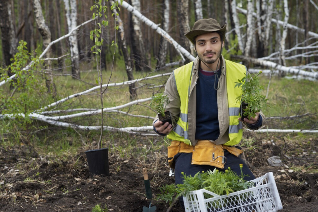 reforestation done by voluntary group
