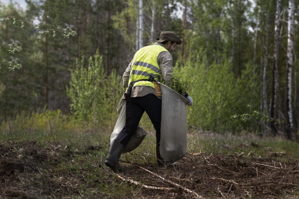 reforestation done by voluntary group (4)