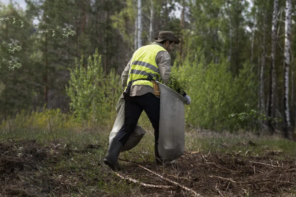 reforestation done by voluntary group (4)