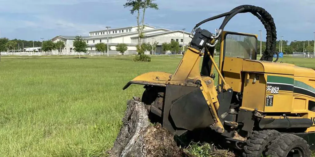 robert s stump grinding u ooezd4rc8 unsplash