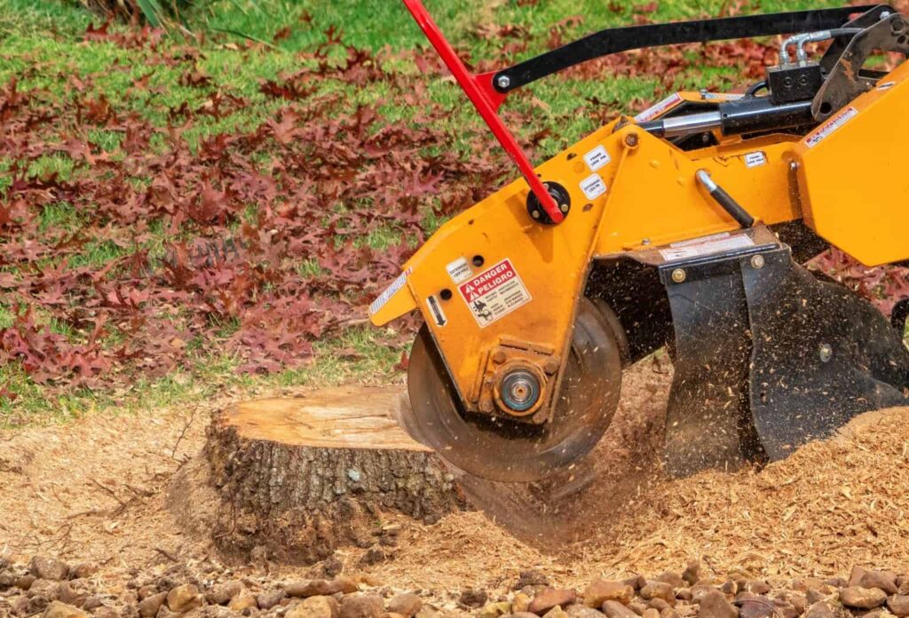 stump grinding services