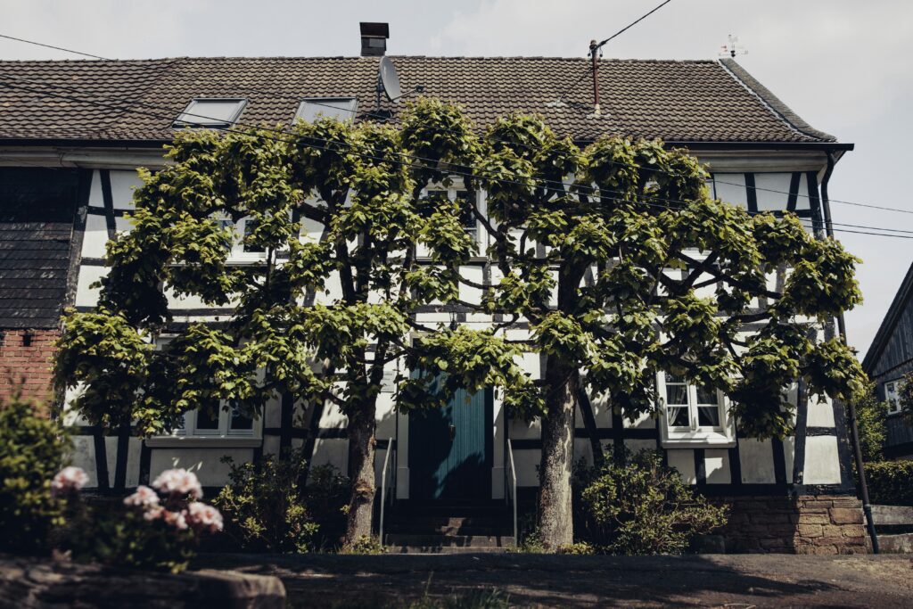 tobias rademacher j nrvoqnl7e unsplash