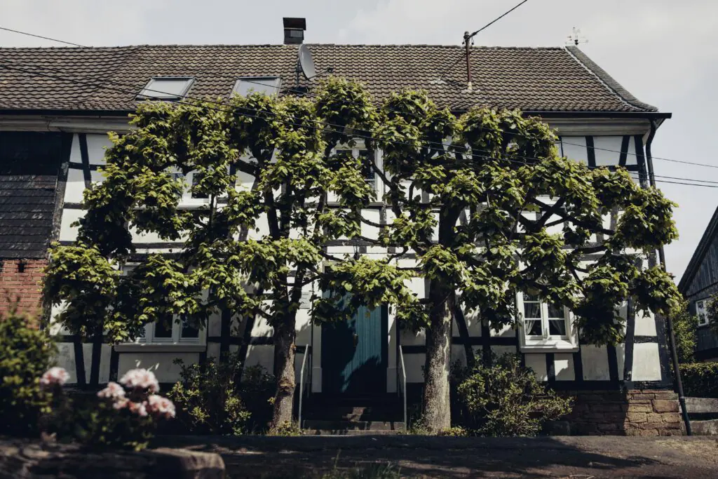 tobias rademacher j nrvoqnl7e unsplash